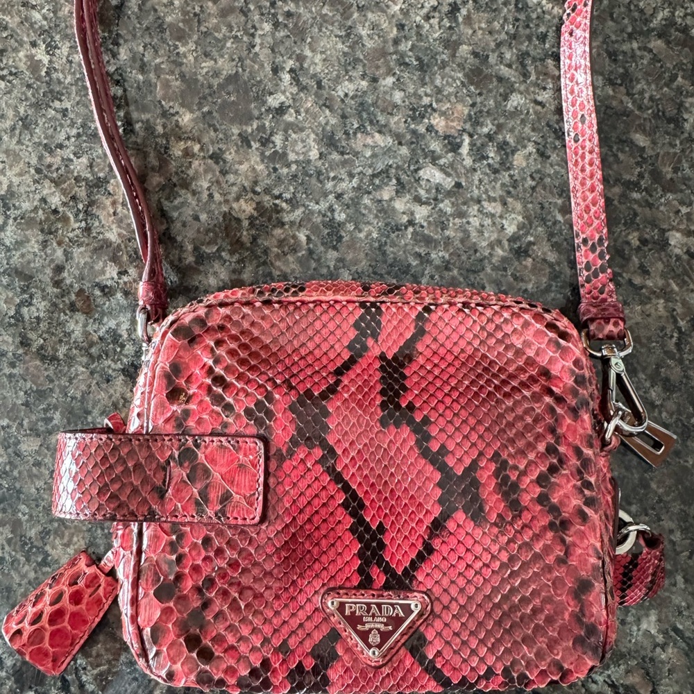 Prada Python Crossbody Bag - Picture 2 of 13